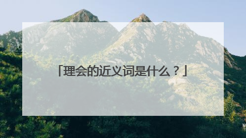 理会的近义词是什么?