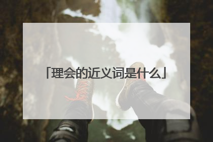 理会的近义词是什么