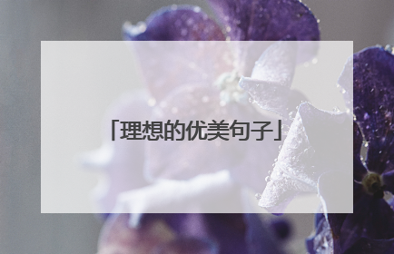 理想的优美句子