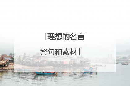 理想的名言警句和素材