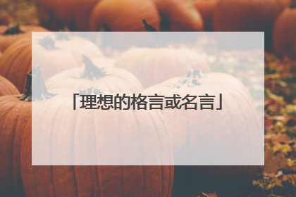 理想的格言或名言