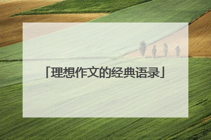 理想作文的经典语录