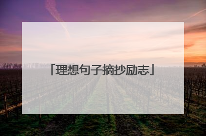 理想句子摘抄励志