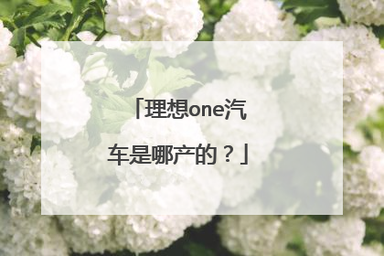 理想one汽车是哪产的?