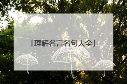 理解名言名句大全