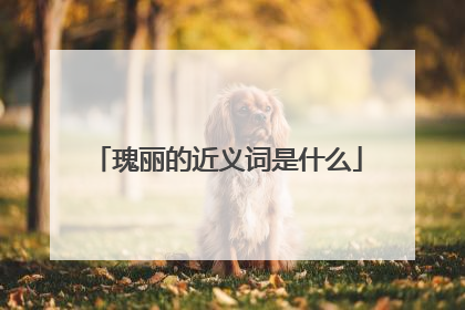瑰丽的近义词是什么