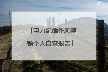 电力纪律作风整顿个人自查报告