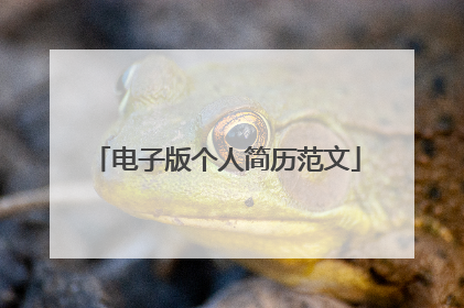 电子版个人简历范文