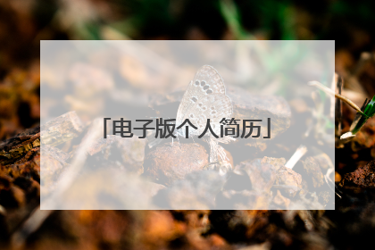 电子版个人简历