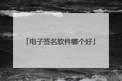 电子签名软件哪个好