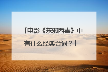 电影《东邪西毒》中有什么经典台词?
