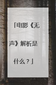 电影《无声》解析是什么？