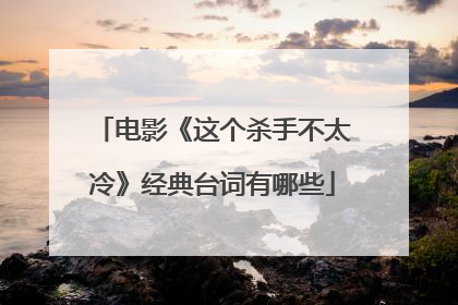 电影《这个杀手不太冷》经典台词有哪些