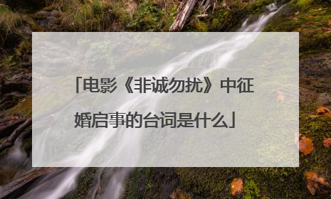 电影《非诚勿扰》中征婚启事的台词是什么