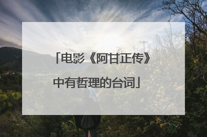 电影《阿甘正传》中有哲理的台词