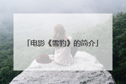 电影《雪豹》的简介