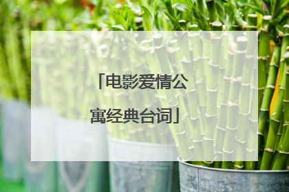 电影爱情公寓经典台词