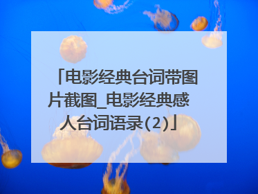 电影经典台词带图片截图_电影经典感人台词语录(2)