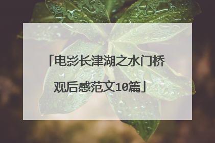 电影长津湖之水门桥观后感范文10篇