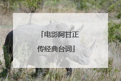 电影阿甘正传经典台词