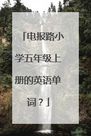 电报路小学五年级上册的英语单词?