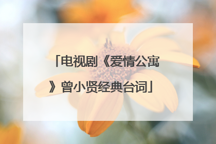 电视剧《爱情公寓》曾小贤经典台词