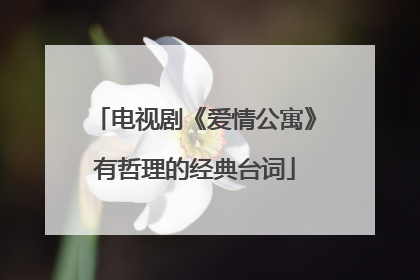 电视剧《爱情公寓》有哲理的经典台词