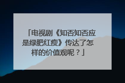 电视剧《知否知否应是绿肥红瘦》传达了怎样的价值观呢？