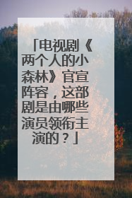 电视剧《两个人的小森林》官宣阵容,这部剧是由哪些演员领衔主演的?