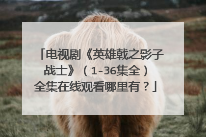 电视剧《英雄戟之影子战士》（1-36集全）全集在线观看哪里有？