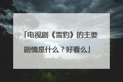 电视剧《雪豹》的主要剧情是什么？好看么