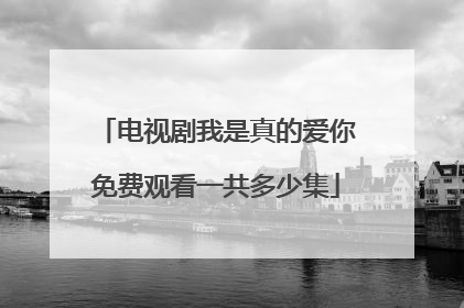 电视剧我是真的爱你免费观看一共多少集