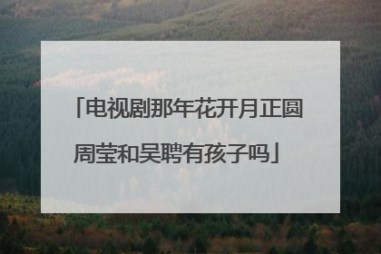 电视剧那年花开月正圆周莹和吴聘有孩子吗