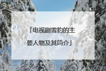 电视剧雪豹的主要人物及其简介