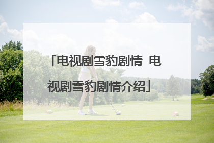 电视剧雪豹剧情 电视剧雪豹剧情介绍