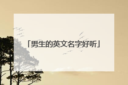 男生的英文名字好听