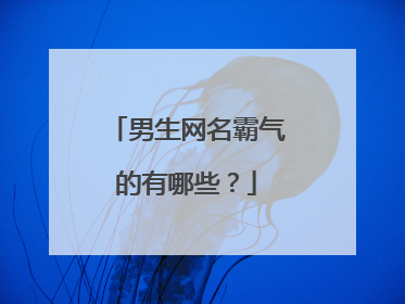 男生网名霸气的有哪些?