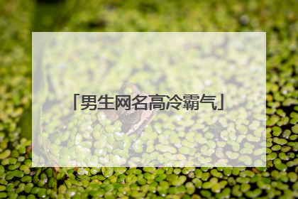 男生网名高冷霸气