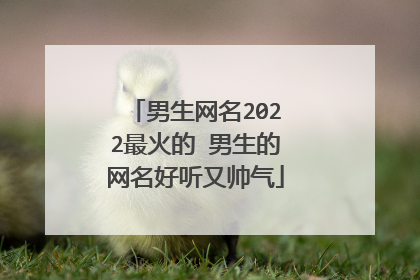 男生网名2022最火的 男生的网名好听又帅气