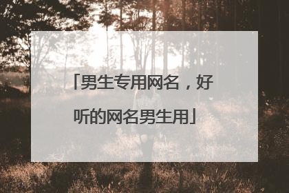 男生专用网名,好听的网名男生用
