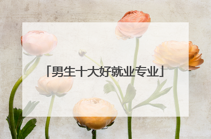男生十大好就业专业