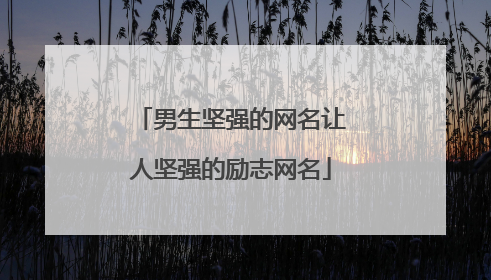 男生坚强的网名让人坚强的励志网名