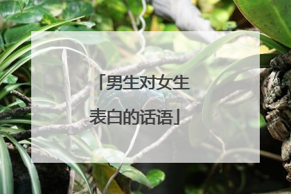 男生对女生表白的话语