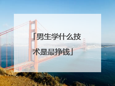 男生学什么技术是最挣钱