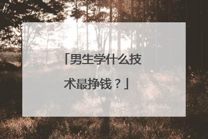 男生学什么技术最挣钱?