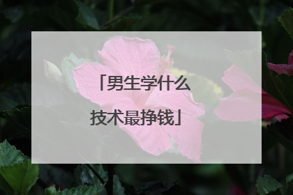 男生学什么技术最挣钱