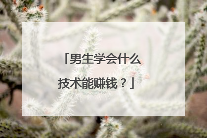 男生学会什么技术能赚钱?