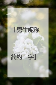 男生昵称简约二字