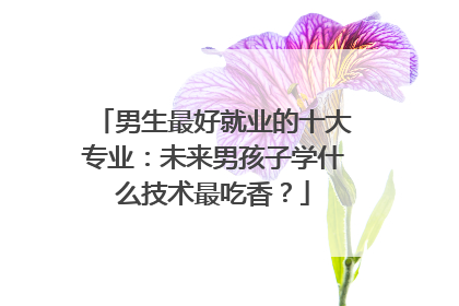 男生最好就业的十大专业：未来男孩子学什么技术最吃香？