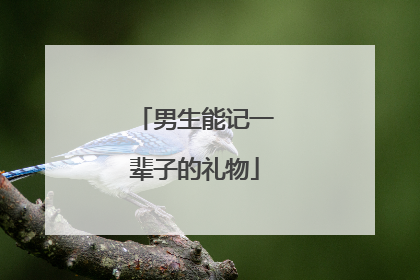 男生能记一辈子的礼物